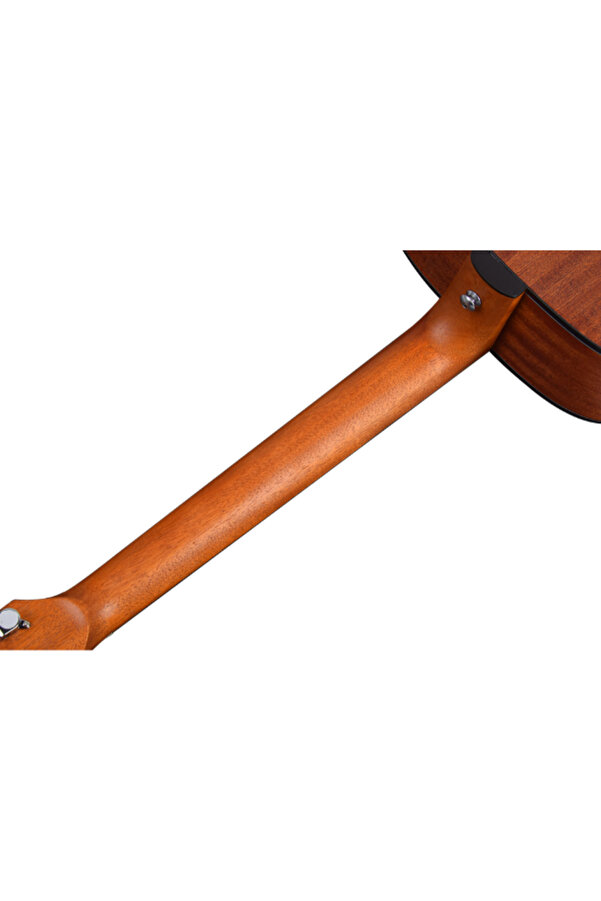 Tayste TS20D-41 Akustik Gitar