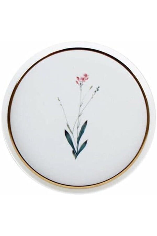 Shopverse Desen4 21 Cm Düz Tabak, Çok Renkli̇ Trendfli̇ck 1014773