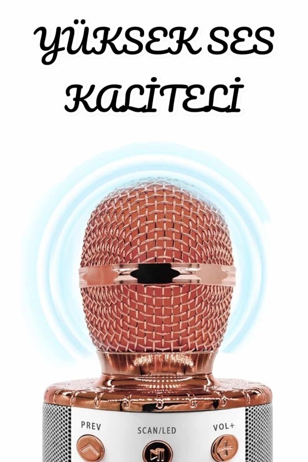 Ethab Giyim Şarjlı Ve Uzun Pil Ömürlü Karaoke Mikrofon Usb Bellek Destekli Profesyonel Ses - Glst5171-2554
