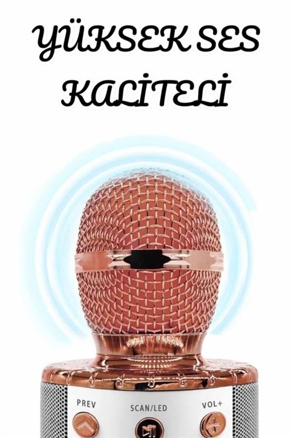 Ethab Giyim Şarjlı Ve Uzun Pil Ömürlü Karaoke Mikrofon Usb Bellek Destekli Profesyonel Ses - Glst6275-2902
