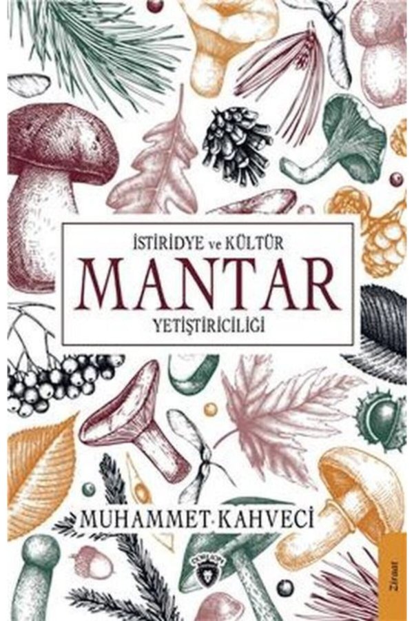 Dorlion Yayınları Istiridye Ve Kültür Mantar Yetiştiriciliği / Muhammet Kahveci / / 9786254073052
