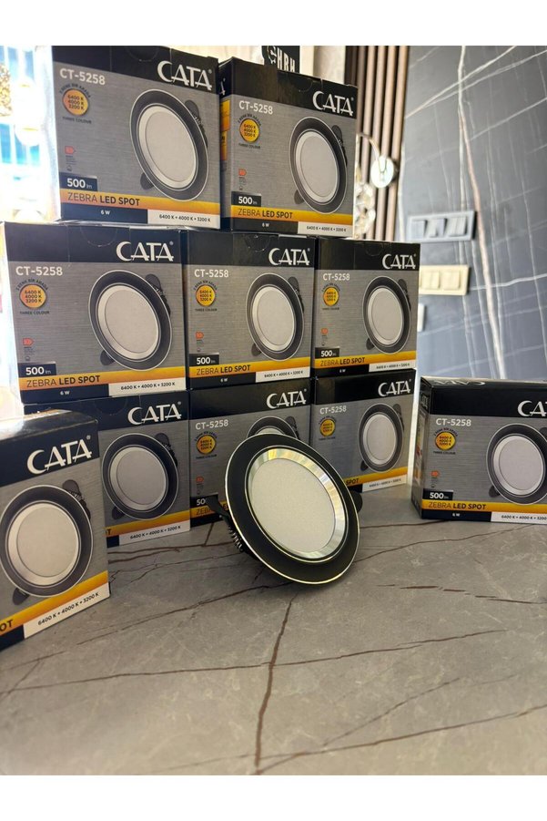 Cata CT-5258 6W Zebra 3 Renk Spot Siyah Kasa 10'LU Paket