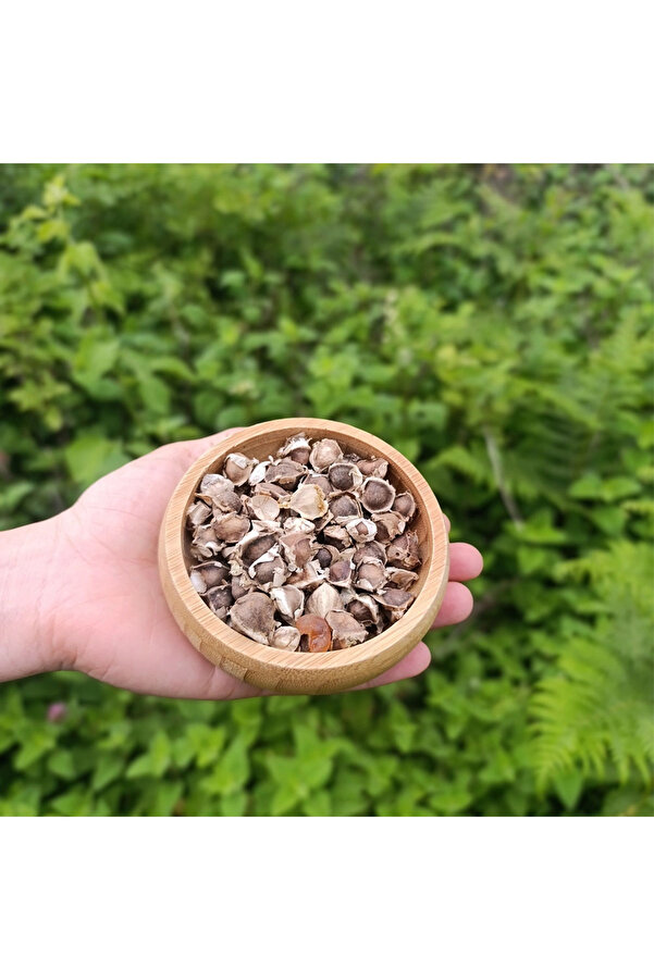 Sağlık Bahçesi̇ Mori̇nga Tohumu (50G)