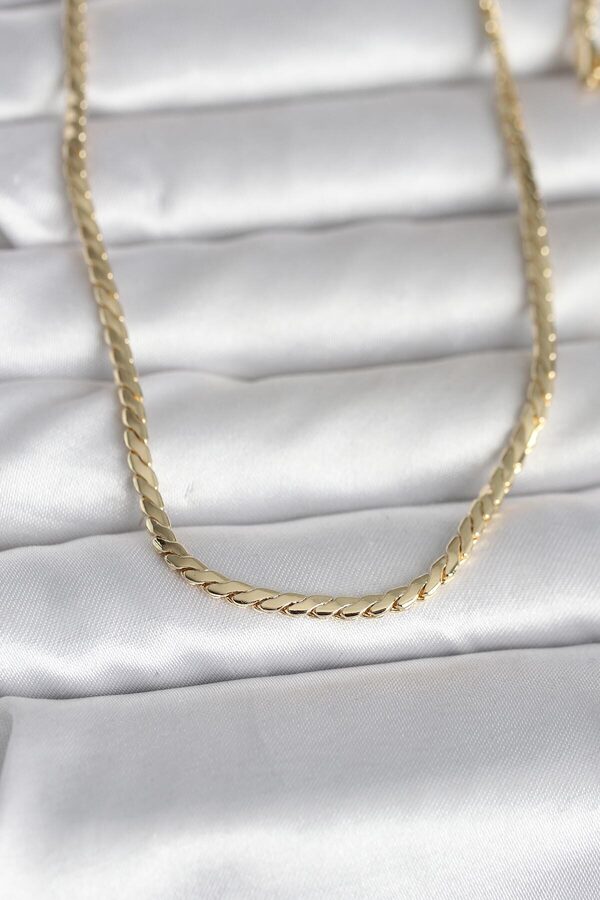 Evi̇mdeyokyok Cm 14K Gold Renk Yassı Model 60 Cm Kadın Kolye Tj-Bko10994