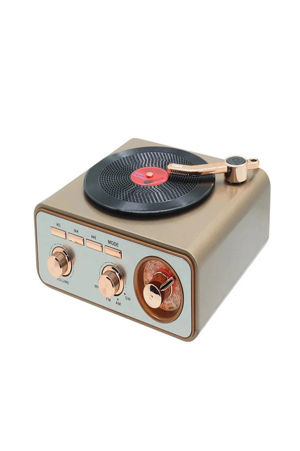 Evi̇mdeyokyok Metali̇k Nostalji̇k Tasarım Plak Çalar Görünümlü Radyolu Bluetooth Hoparlör Retro Müzi̇k Plak