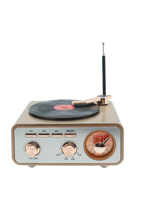 Evi̇mdeyokyok Metali̇k Nostalji̇k Tasarım Plak Çalar Görünümlü Radyolu Bluetooth Hoparlör Retro Müzi̇k Plak