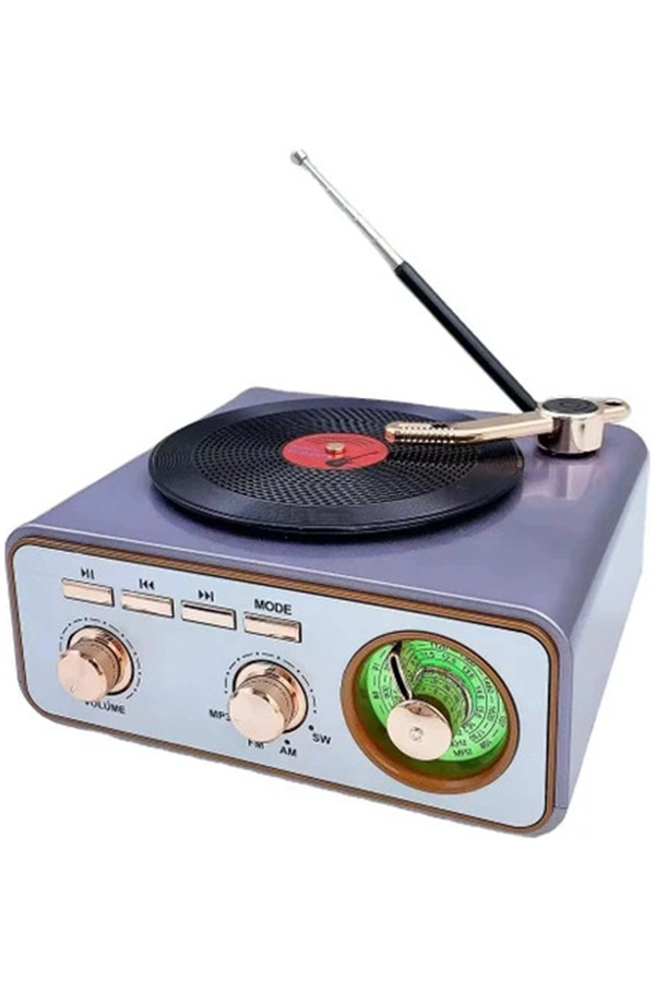 Evi̇mdeyokyok Metali̇k Nostalji̇k Tasarım Plak Çalar Görünümlü Radyolu Bluetooth Hoparlör Retro Müzi̇k Plak