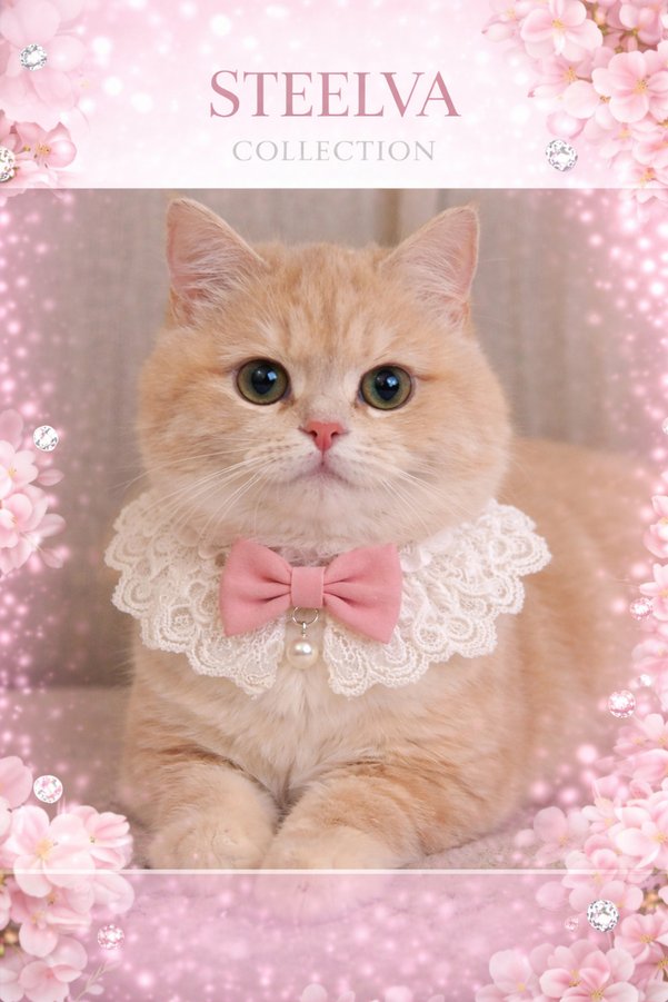 STEELVA Pembe Rengi İncili Papyonlu Kedi Kıyafeti