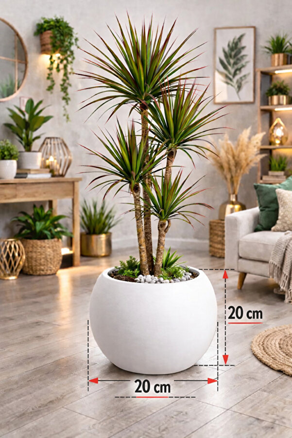 CANBOTANİK Yuvarlak Küre Saksı 20 Cm Saksı Beyaz Plastik Saksı Çiçek Saksısı