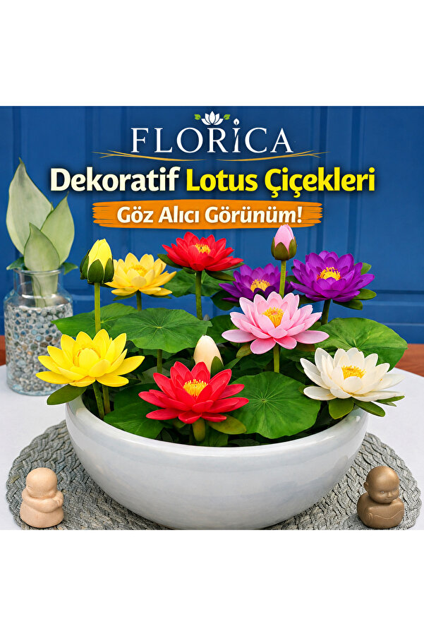 Florıca 2 Adet Lotus Çi̇çeği̇ Tohumu-Kutsal Lotus Ni̇lüfer Tohumu(Sürpri̇z Tohum Hedi̇ye)