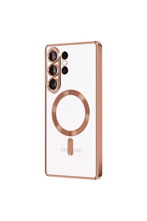 Ethab Ti̇caret Glb-Stl41414 Ahşap Saplı Sert Halı Fırçası