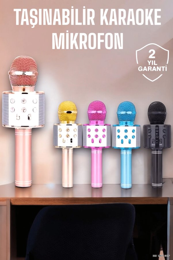 Zero Land Myceshop Taşınabilir Bluetooth Mikrofon Hafıza Kart Girişli, (141039) Etkileyici Performa