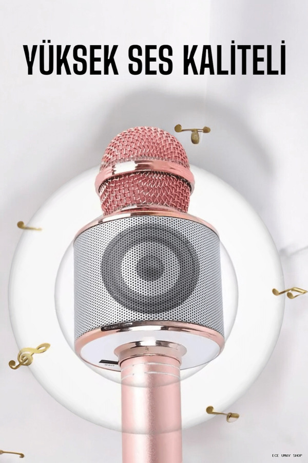 Zero Land Myceshop Taşınabilir Bluetooth Mikrofon Hafıza Kart Girişli, (141039) Etkileyici Performa