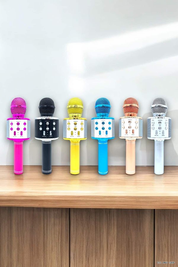 Zero Land Myceshop Taşınabilir Bluetooth Mikrofon Hafıza Kart Girişli, (141039) Etkileyici Performa