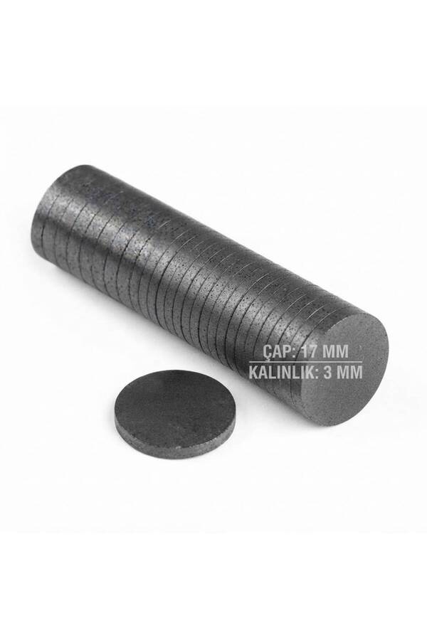 WORDAKS Güçlü Magnet Mıknatıs Yuvarlak D17X3 Mm 6 Adet