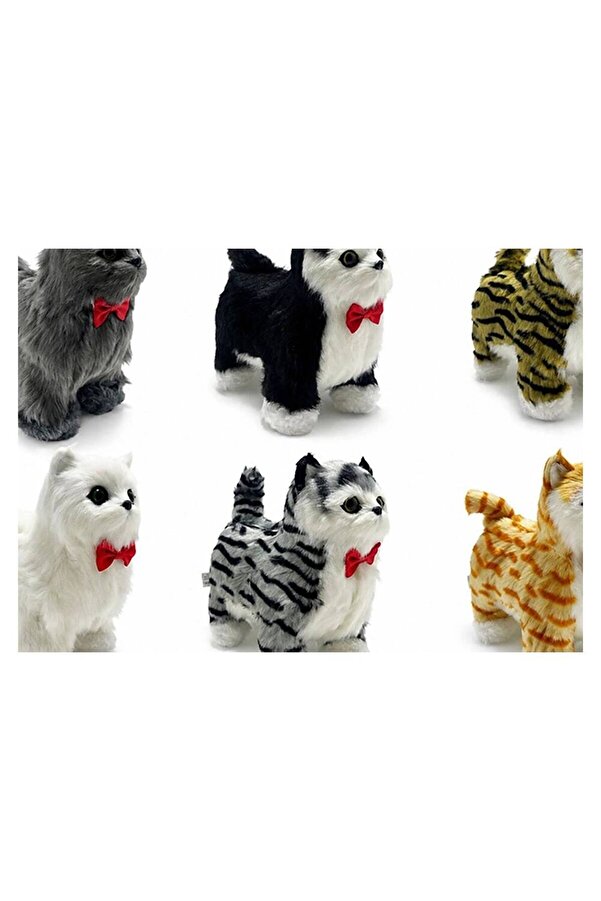 Evi̇mdeyokyok Sesli̇ Hareketli̇ Yürüyen Peluş Kedi̇ Alk3389