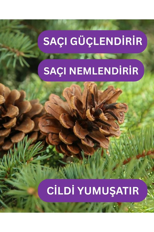 Roseville Çam Terebentin Yağı %100 Saf Ve Doğal 10 Ml