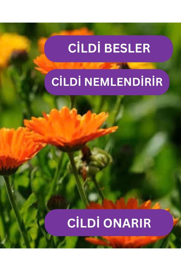 Roseville Aynı Sefa Yağı 10 Ml