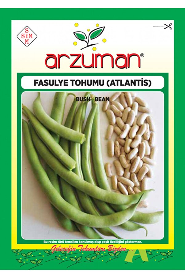 Arzuman 100 Adet Atlanti̇s Oturak Fasulye Tohumu