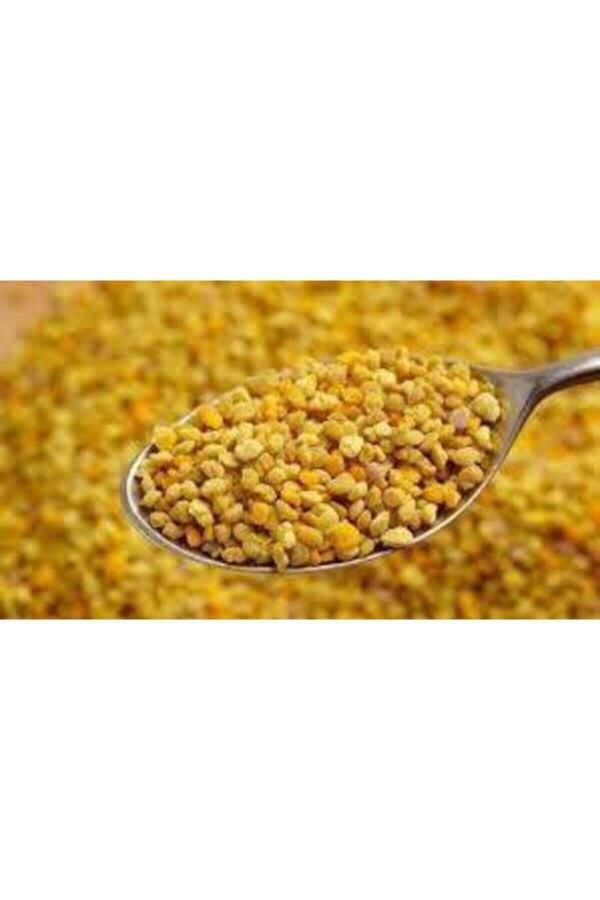 Polen 100 Gr