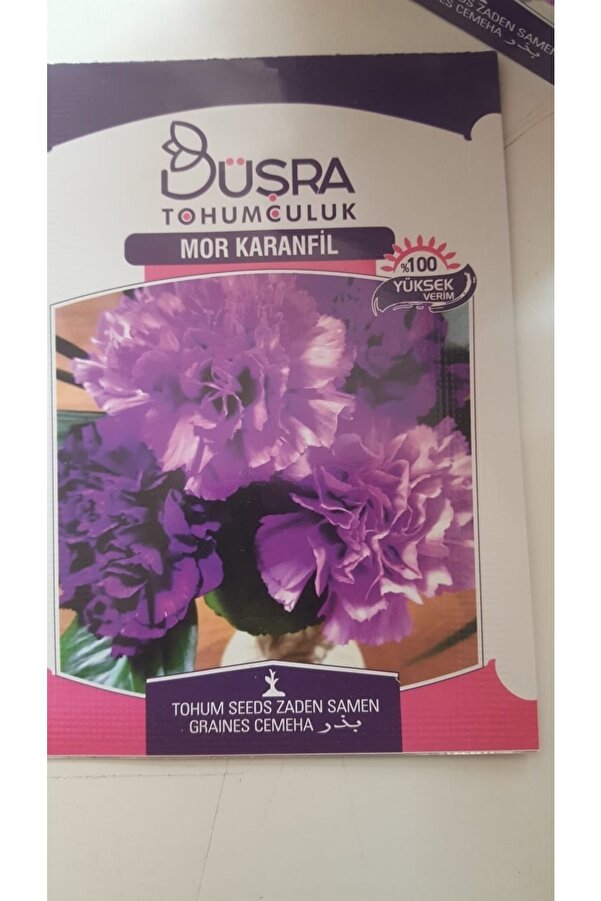 Büşra Mor Karanfi̇l Çi̇çek Tohumu %100 Veri̇mli̇