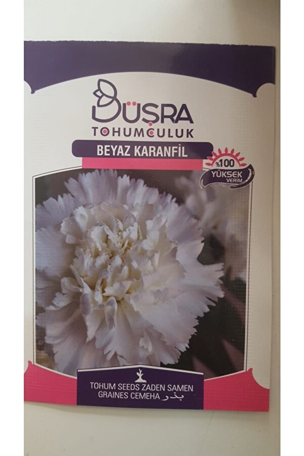Büşra Beyaz Karanfi̇l Çi̇çek Tohumu %100 Veri̇mli̇