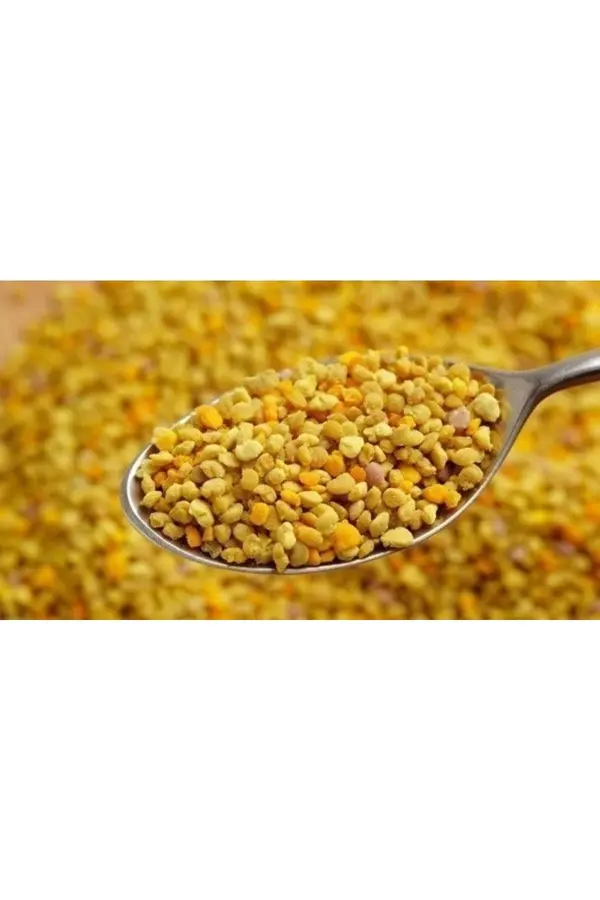 Polen 100 Gr