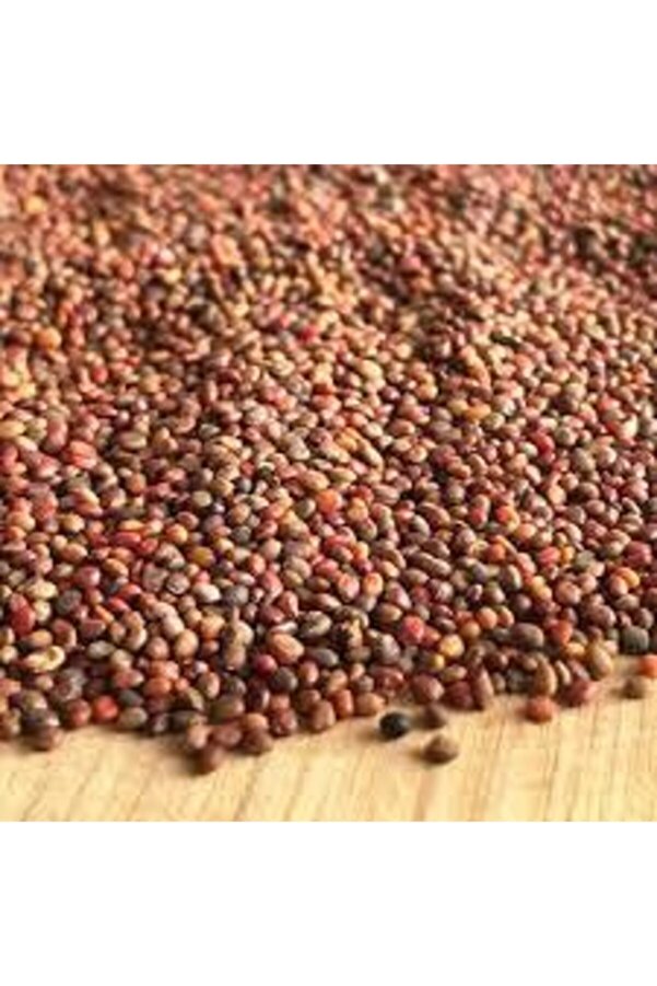 Roka Tohumu 100 Gr