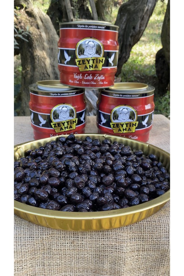 ZEYTİN ANA 3 Adet 2 Kg Gemlik Zeytini Kehribar