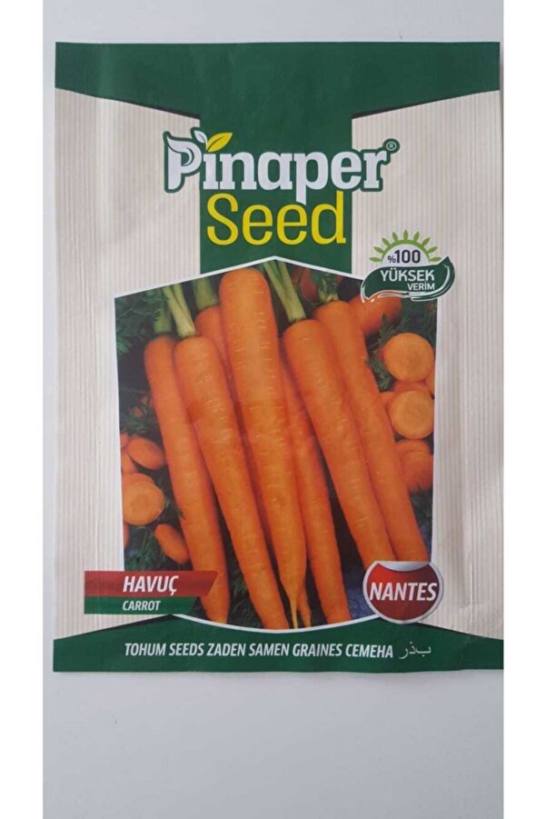 Pi̇naper Seed Havuç Tohumu 1 Paket %100 Yüksek Veri̇mli̇di̇r