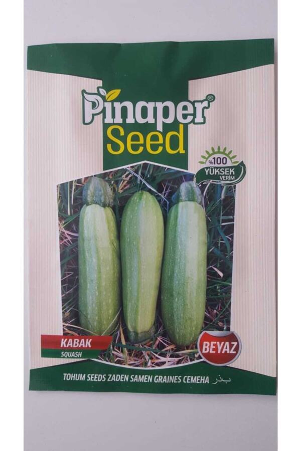 Pi̇naper Seed Kabak Beyaz Tohumu 1 Paket %100 Yüksek Veri̇mli̇di̇r.