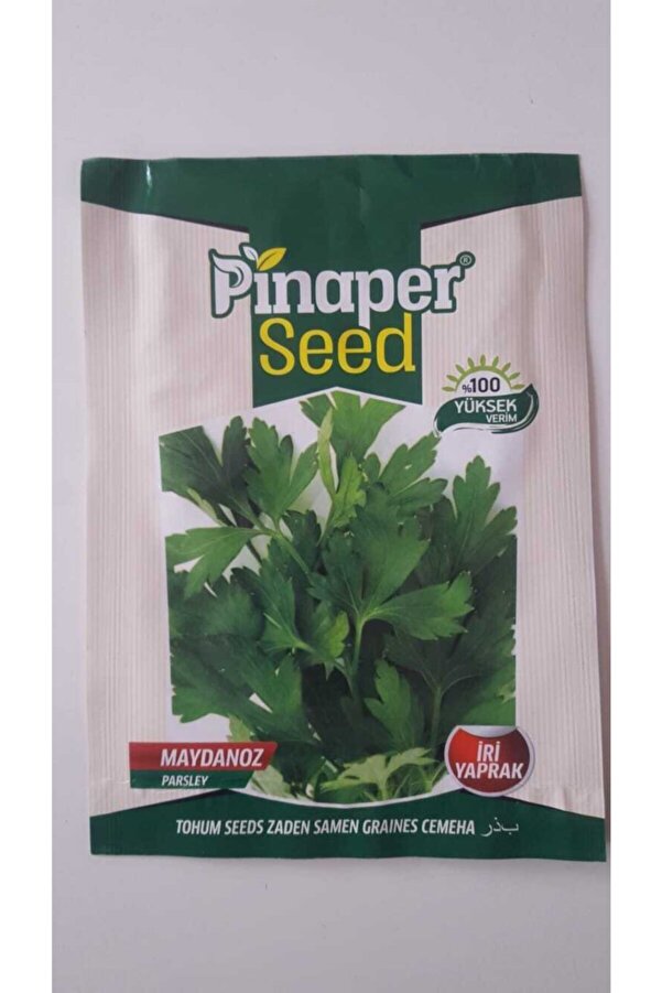 Pi̇naper Seed Maydanoz Tohumu 1 Paket Geni̇ş Yapraklı Maydanoz %100 Yüksek Veri̇mli̇di̇r.