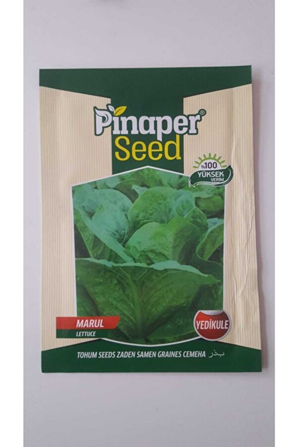 Pi̇naper Seed Marul (Yedi̇kule) %100 Yüksek Veri̇mli̇di̇r.