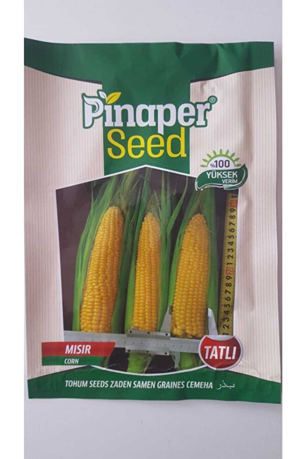 Pi̇naper Seed Mısır Tohumu 1 Paket %100 Yüksek Veri̇mli̇di̇r.