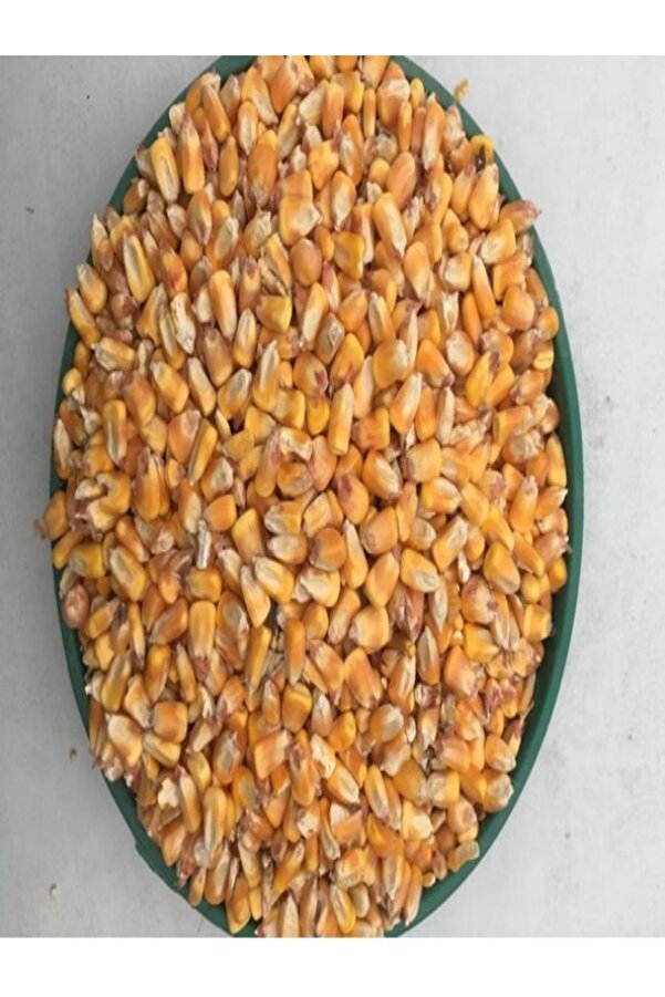 Dsa Tane Mısır 2.5 Kg Tüm Mısır Yemli̇k Mısır Hayvan Yemi̇ "Balık Yemi̇"