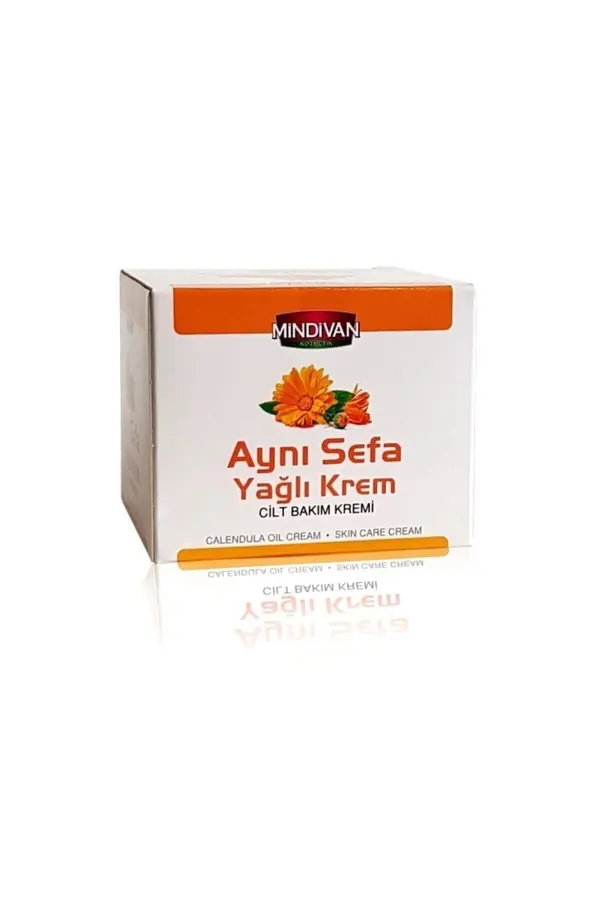 Aynı Sefa Kremi̇ 100 Ml
