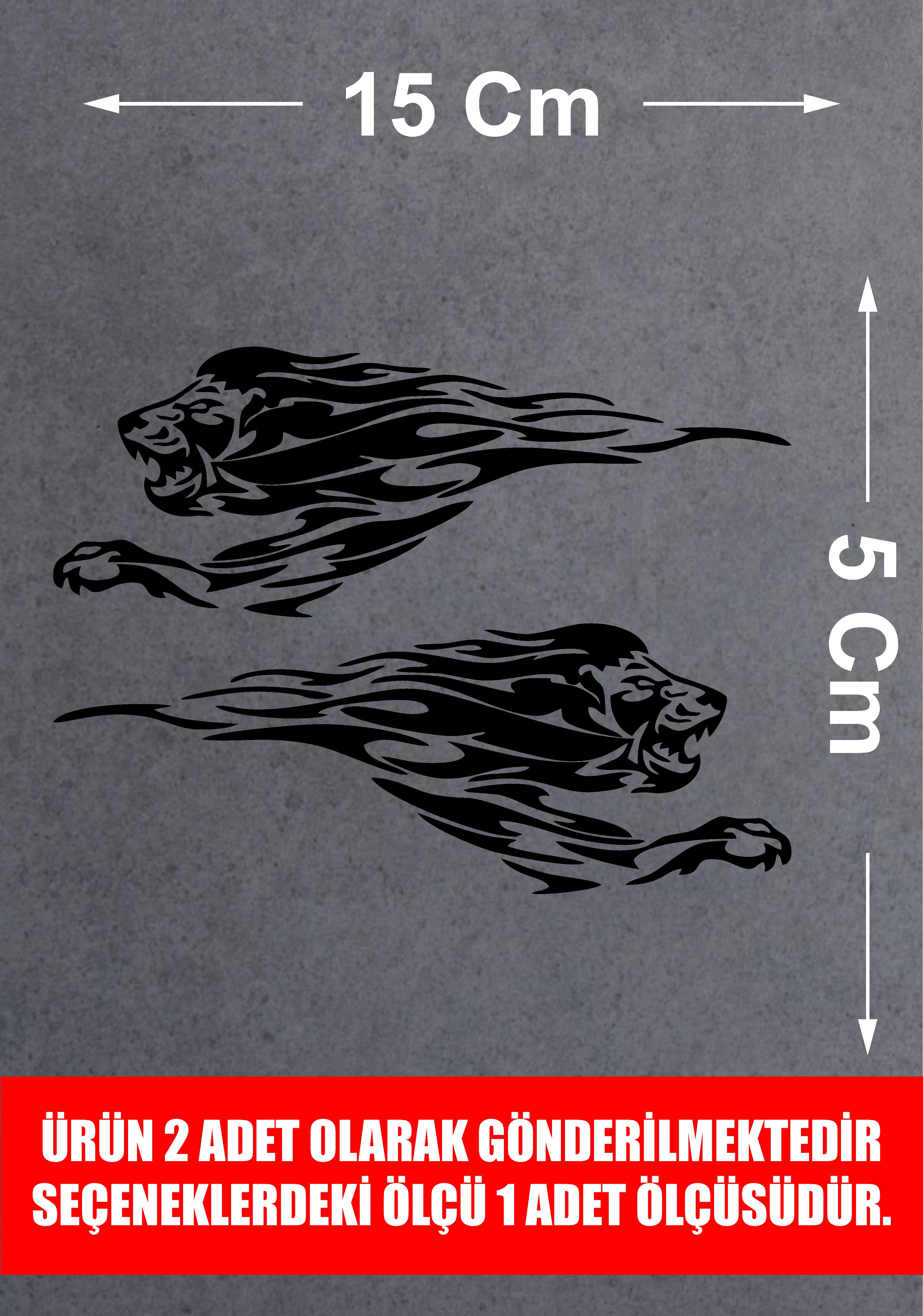 Aslan Sticker 2 Adet - Araba Oto Motosiklet Karavan Cam Sticker - 00109 15X5 Cm 