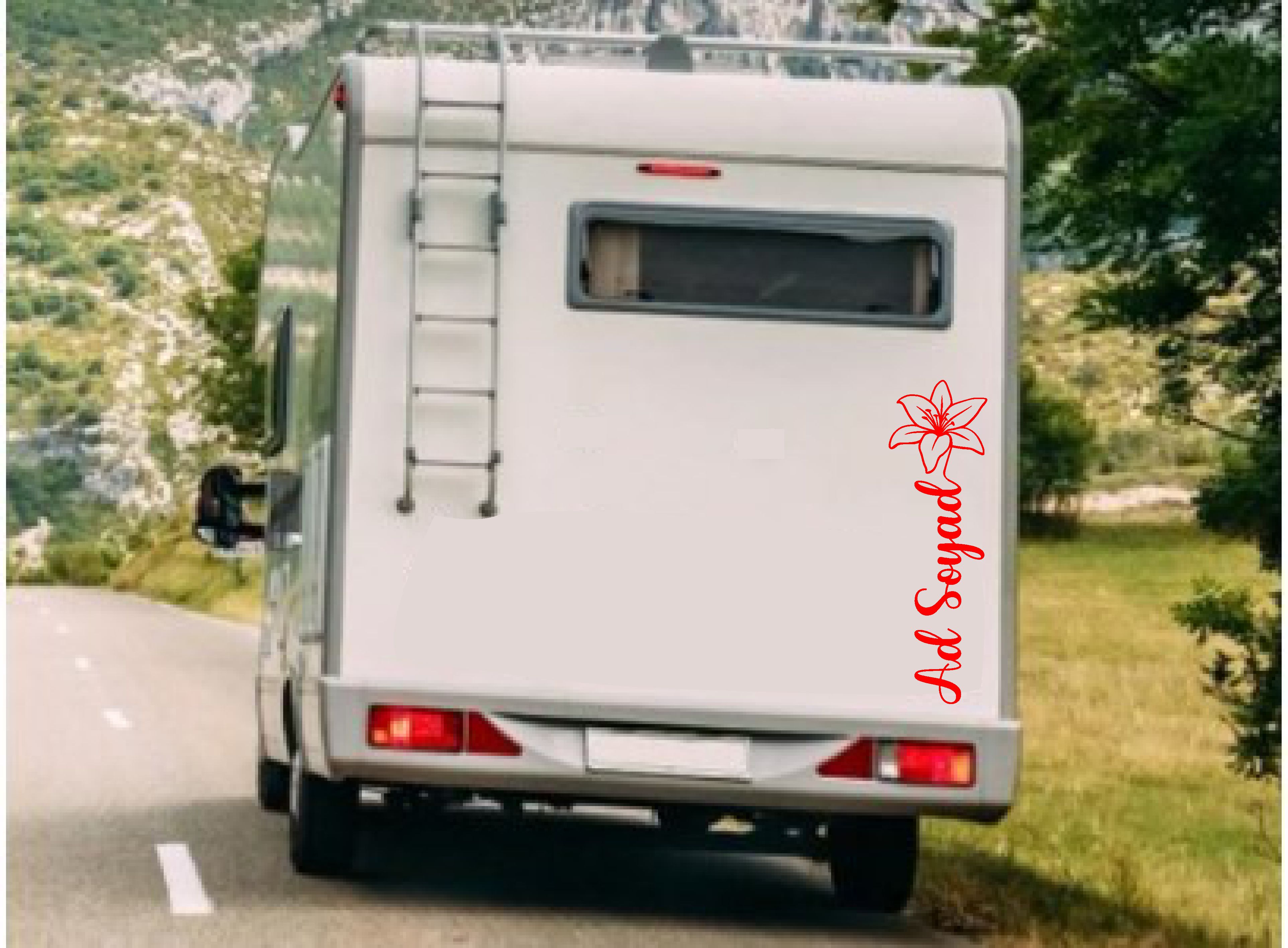 Kır Çi̇çekli̇ Ad Soyad Sti̇cker - Ki̇şi̇sel Isi̇m Soyi̇si̇m Sti̇cker - Araba Oto Motosi̇klet Karavan Cam Sti̇cker - 00306 15 Cm 