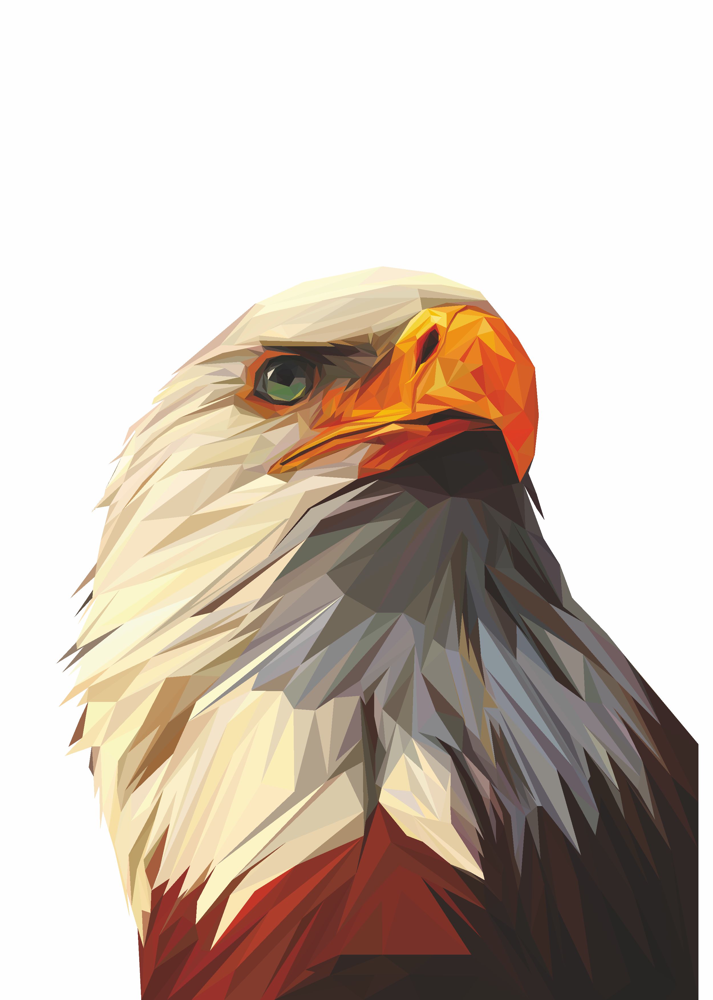 Kartal Eagle Karakartal Beşi̇ktaş Sti̇cker Araba Oto Motosi̇klet Karavan Sti̇cker 00280 10X9 Cm 