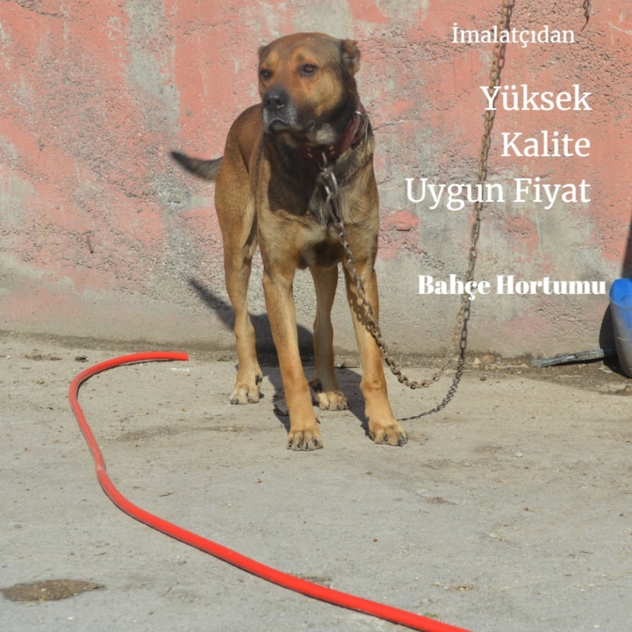 1/2”Inç 50 Metre Bahçe Hortumu Iç Çapı 12,5 Mi̇li̇metre