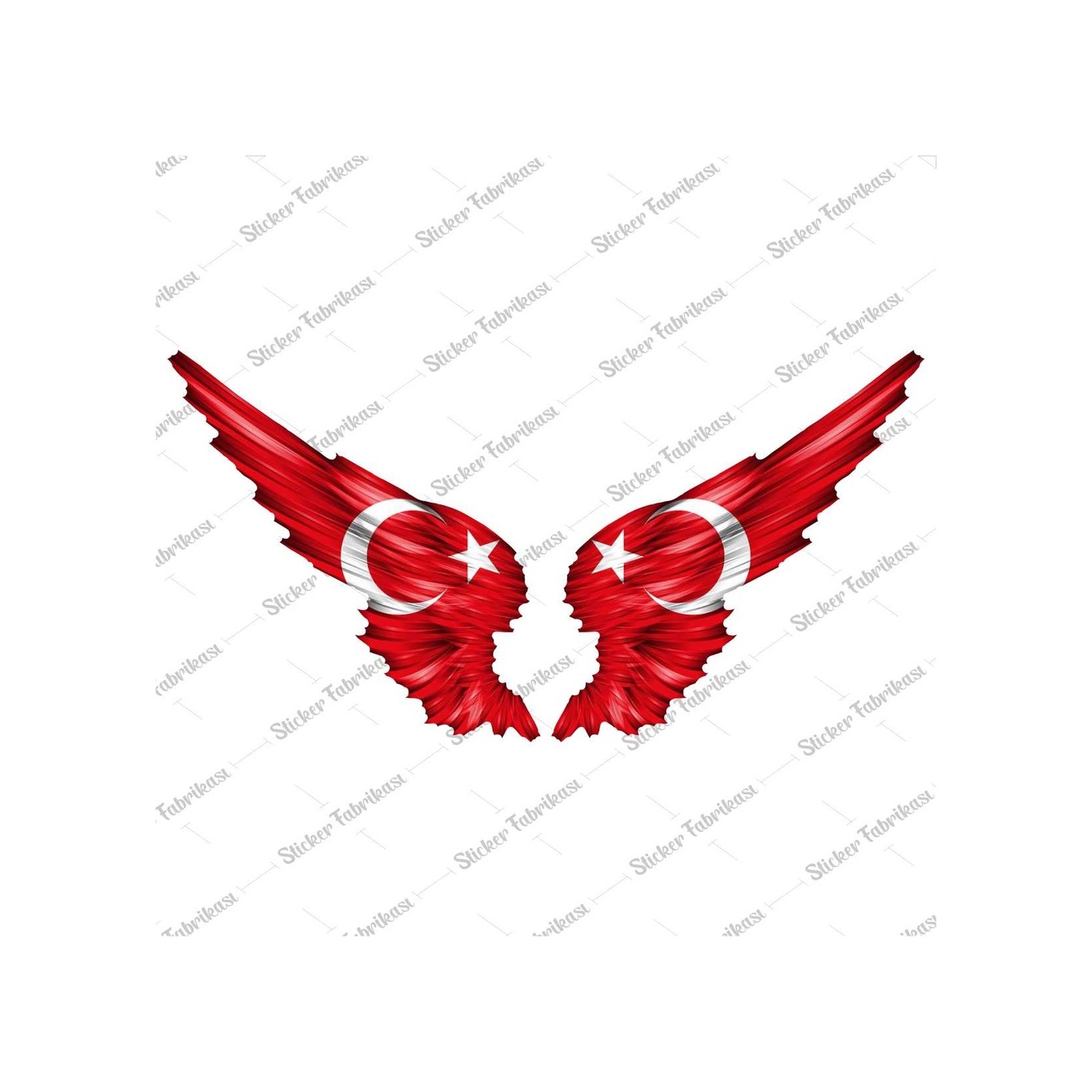 Kanatlı Kurukafa Sti̇cker Eti̇ket 00036 12X7 Cm