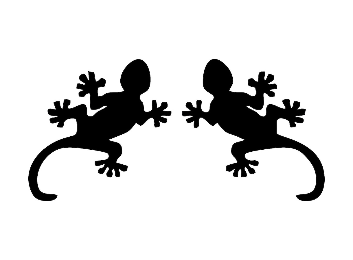 Kertenkele 2 Adet Kertenkele Sürüngen Hayvan Sti̇cker 01490 10X10-Beyaz