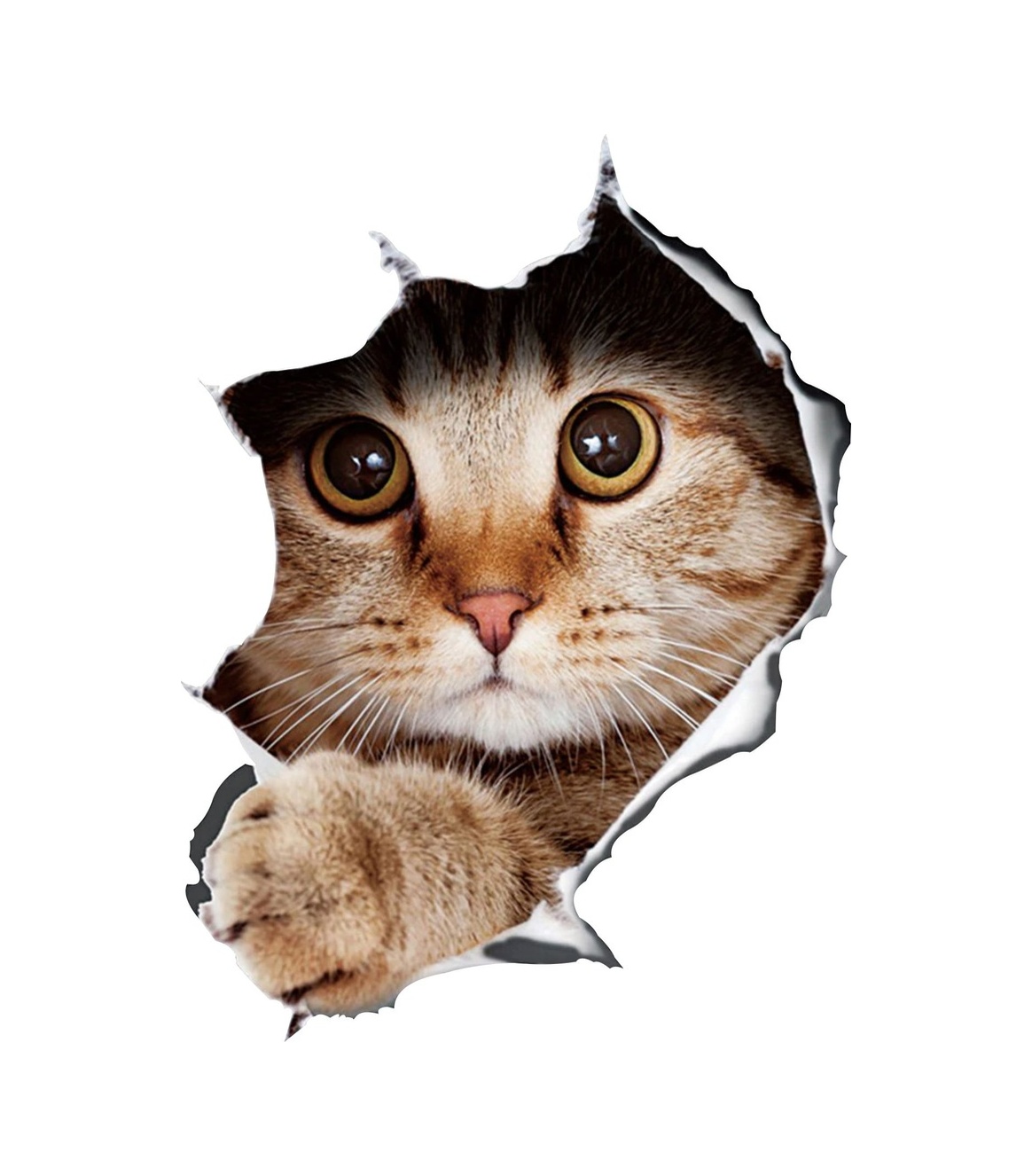 Kedi̇ Sti̇cker 01804 12X9 Cm