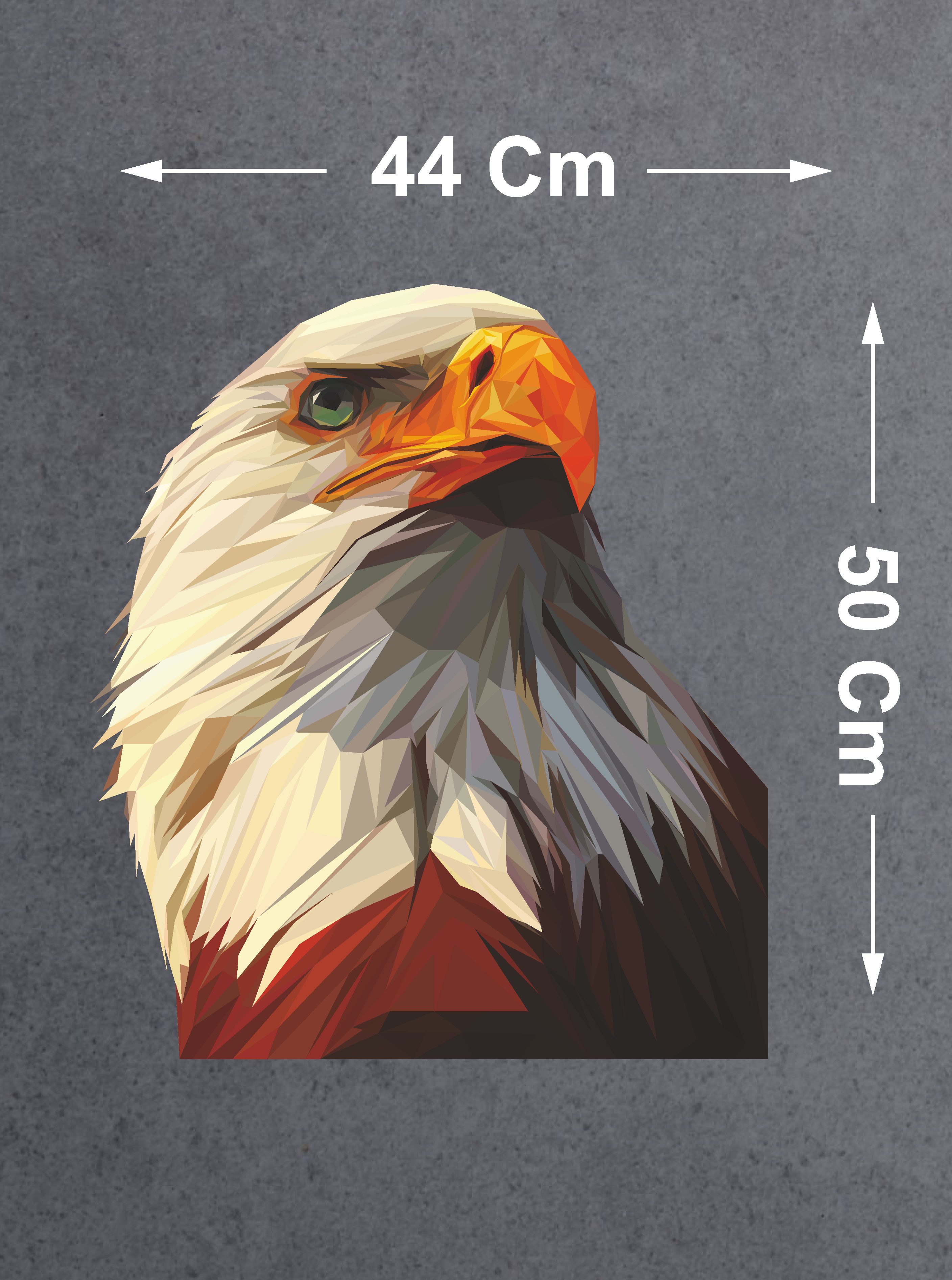 Kartal Eagle Karakartal Beşi̇ktaş Sti̇cker Araba Oto Motosi̇klet Karavan Sti̇cker 00280 10X9 Cm 