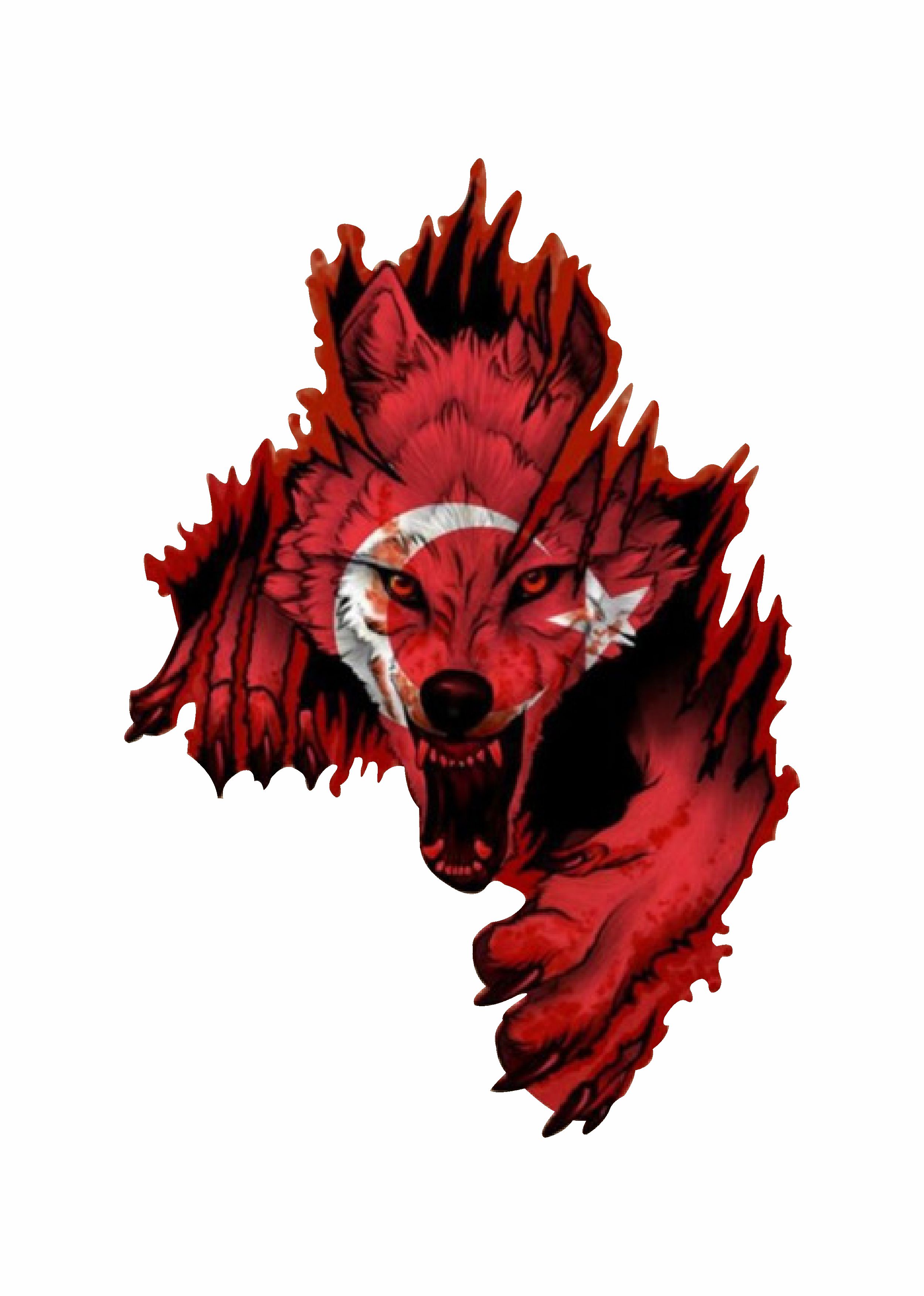 Ay Yıldız Ve Kurt - Bozkurt - Börü - Gökbörü -Araba Oto Motosi̇klet Karavan Sti̇cker 02512 10X7 Cm 