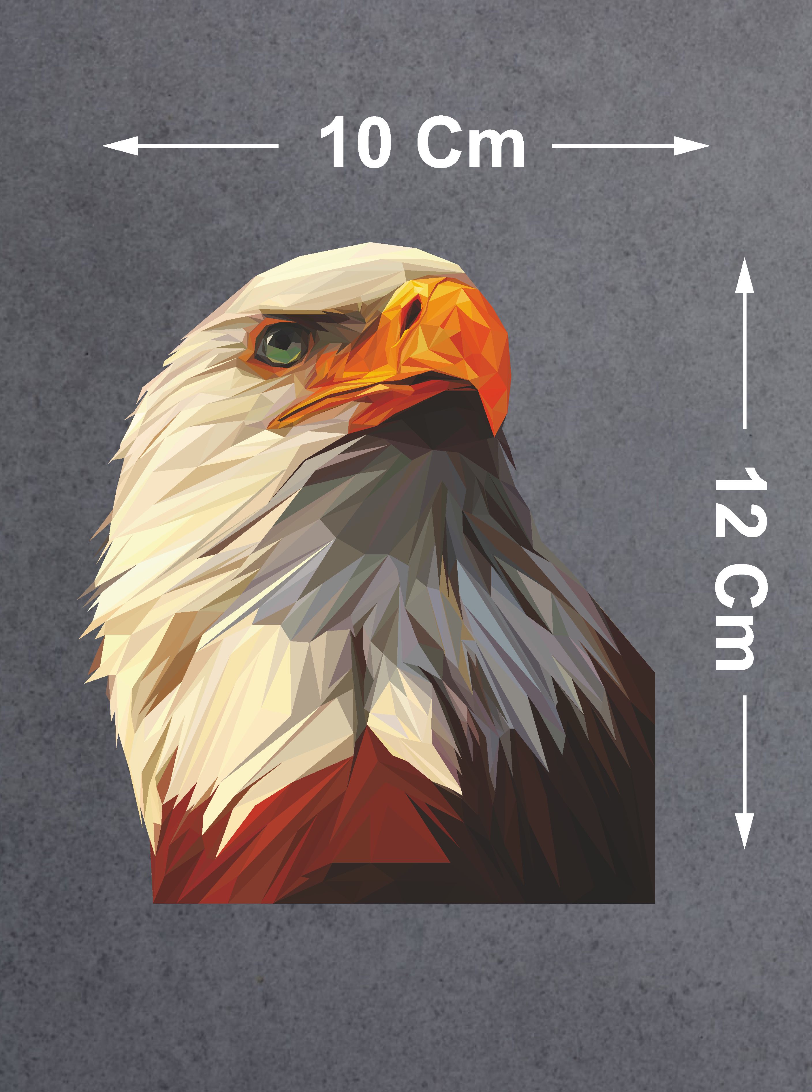 Kartal Eagle Karakartal Beşi̇ktaş Sti̇cker Araba Oto Motosi̇klet Karavan Sti̇cker 00280 10X9 Cm 