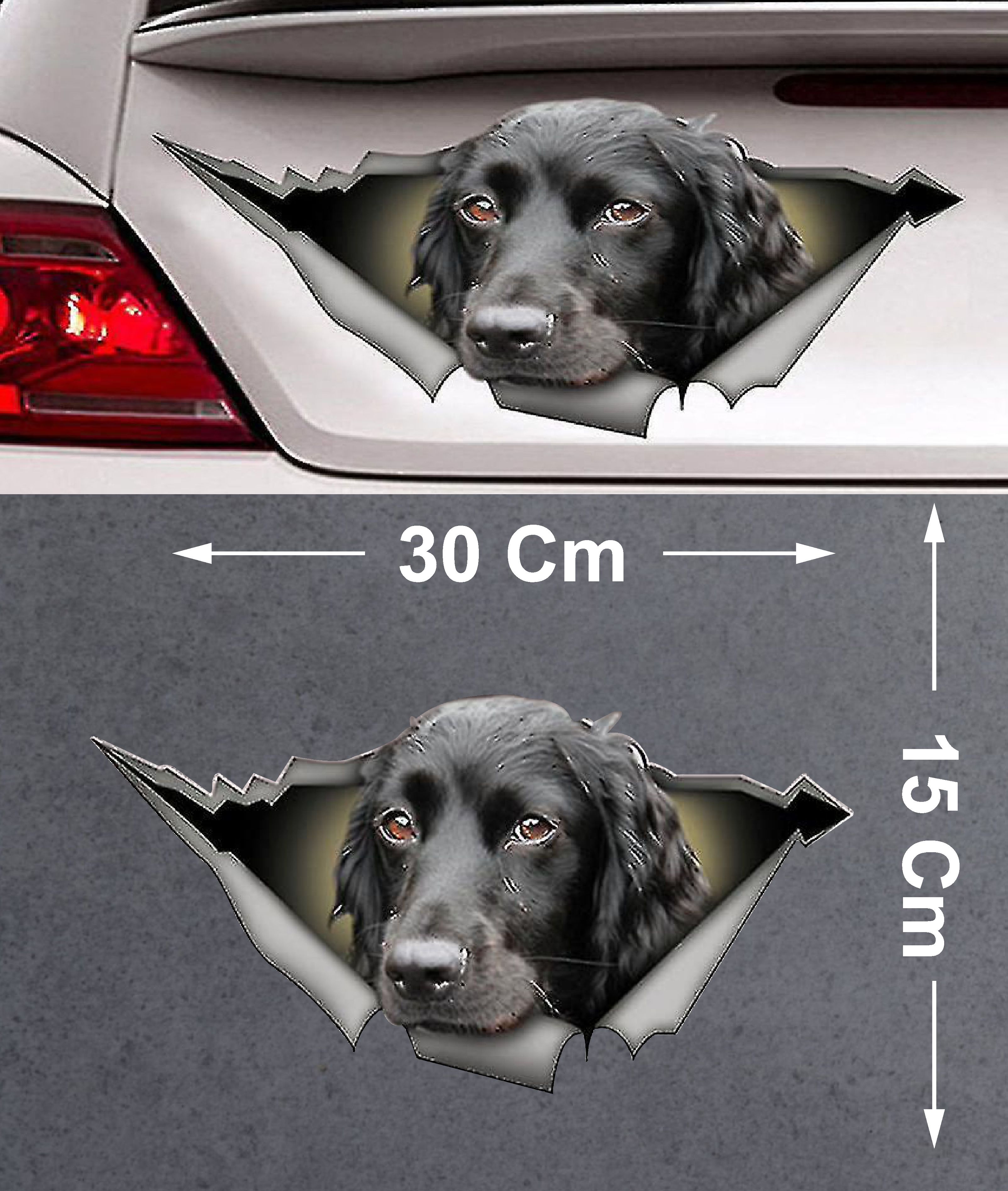 Bagajdan Bakan Köpek Sti̇cker - Araba Oto Motosi̇klet Karavan Cam Sti̇cker - 00141 12X6 Cm 