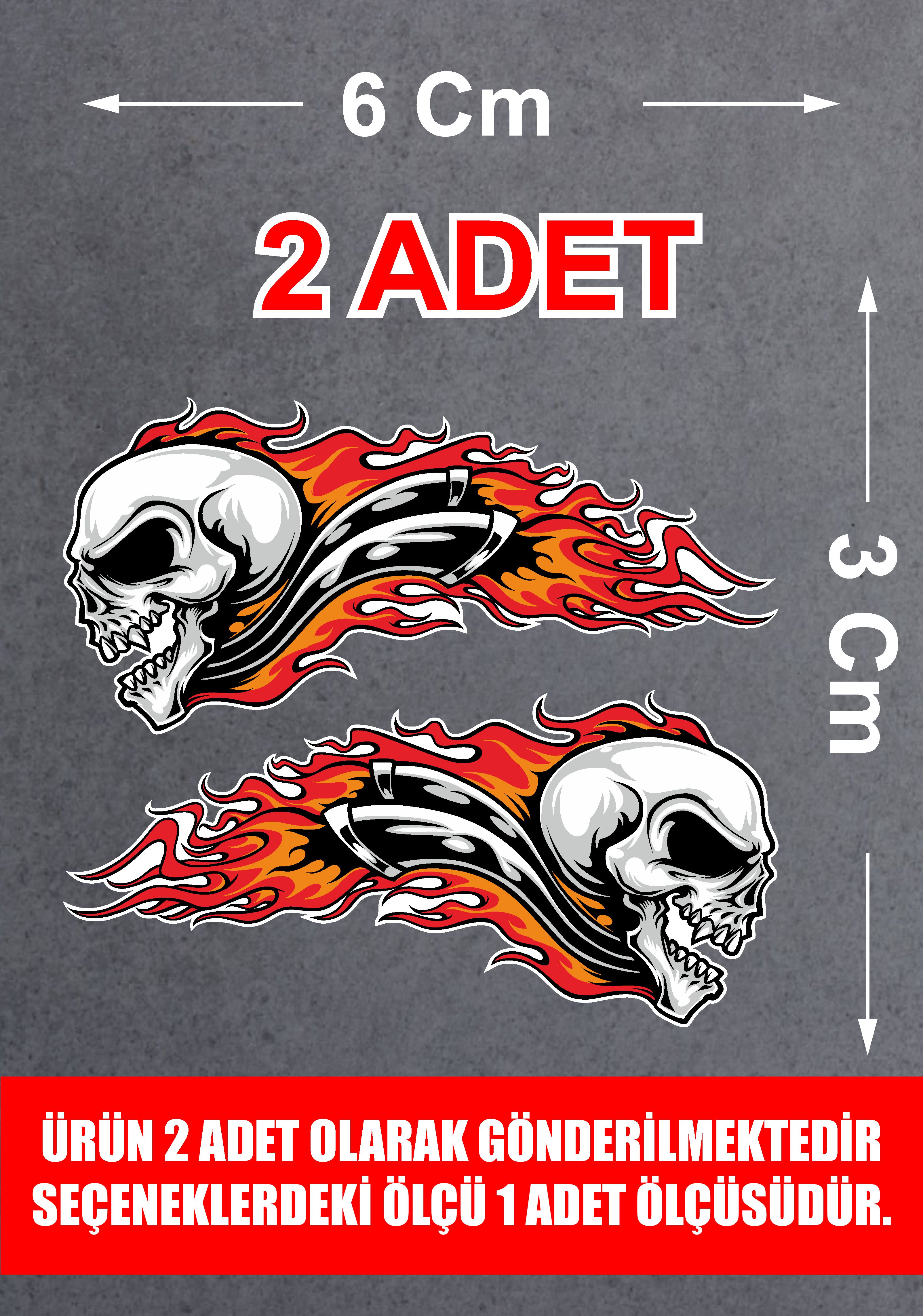 Alevli Kurukafa Sticker - Araba Oto Motosiklet Karavan Cam Sticker - 00027 6X3 Cm
