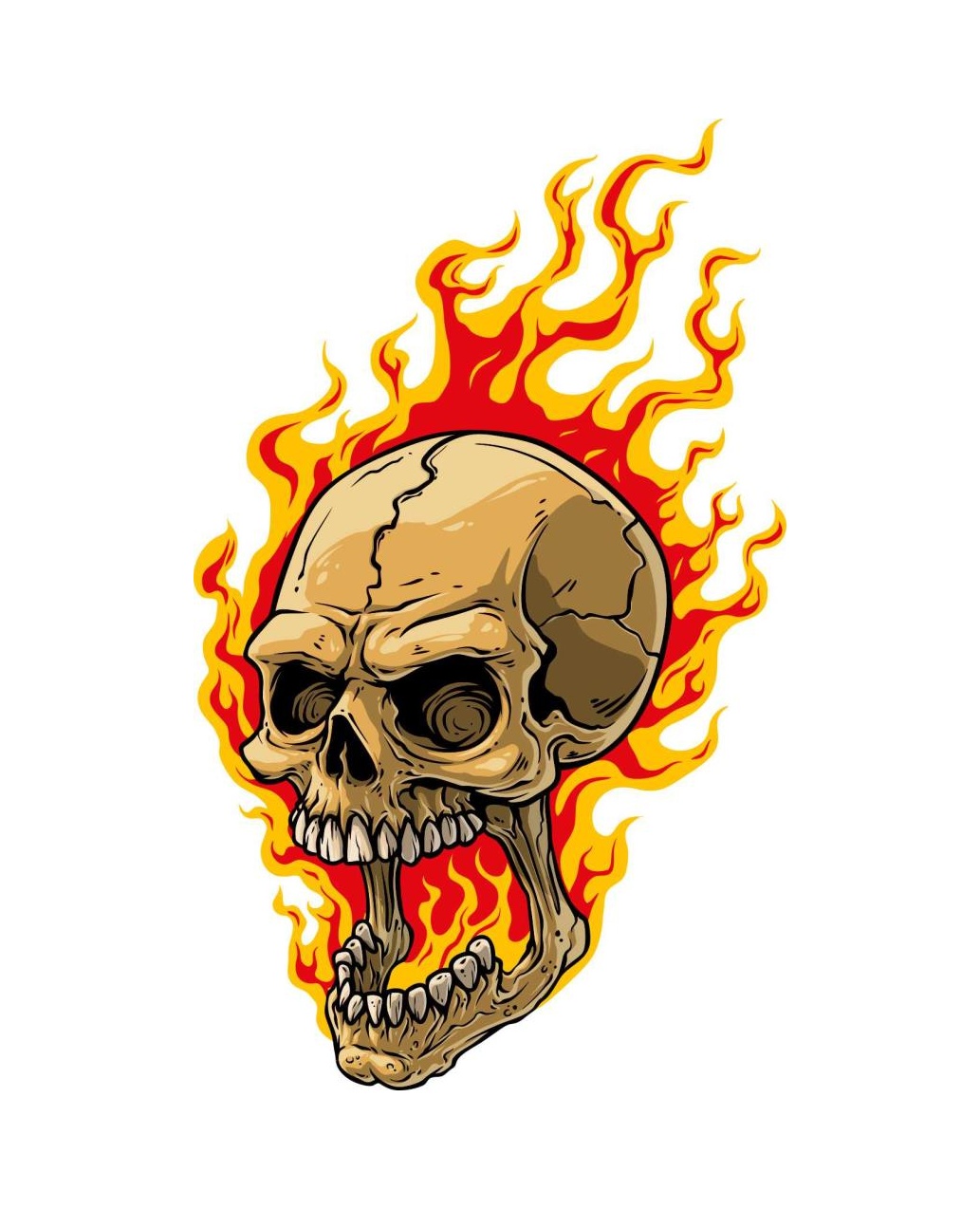 Alevli̇ Kurukafa Kuru Kafa Sti̇cker 01048 20X12