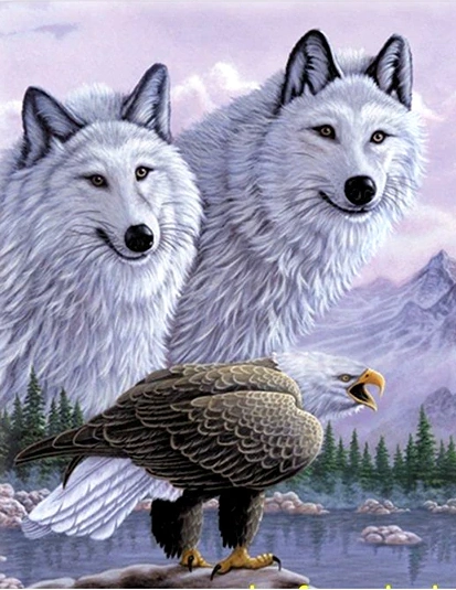 3 Boyutlu Resim  Kartallı Kurt Resmi Tablosu 40X60 Cm